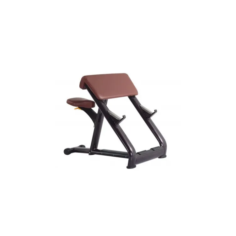 Appareil banc à biceps ajustable pour entraînement des bras