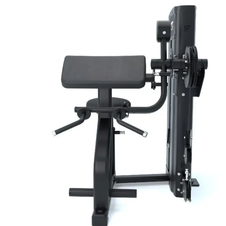 Appareil curl biceps dual extension triceps à charge guidée Force USA Ridge Séries
