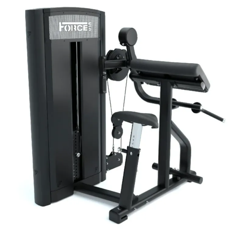 Appareil curl biceps dual extension triceps à charge guidée Force USA Ridge Séries