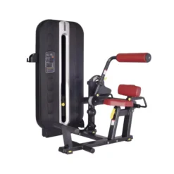 Appareil de musculation des lombaires Back Extension à charge guidée