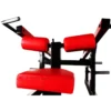 Appareil de musculation pour les triceps et biceps à charges libres avec bras indépendants - Centres sportifs professionnels