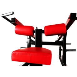 Appareil de musculation pour les triceps et biceps à charges libres avec bras indépendants - Centres sportifs professionnels