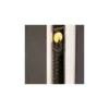 Appareil de musculation pour extension de hanche Hip Extension avec colonne de poids