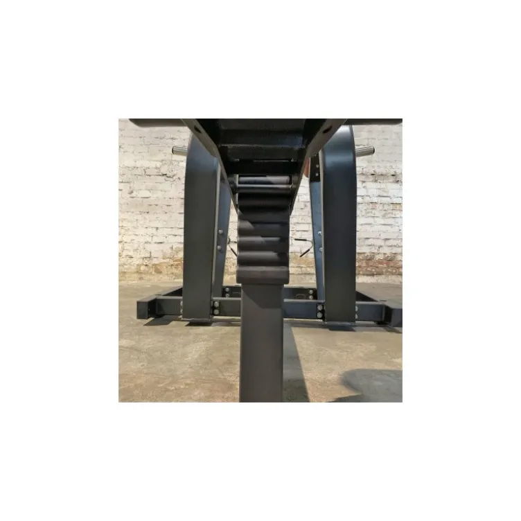 Appareil de musculation pour les dorsaux à charge libre Lat Pulldown
