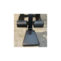 Appareil de musculation pour les dorsaux à charge libre Lat Pulldown