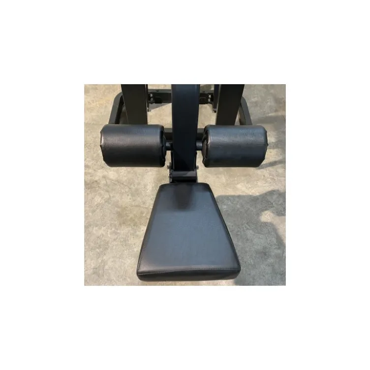 Appareil de musculation pour les dorsaux à charge libre Lat Pulldown