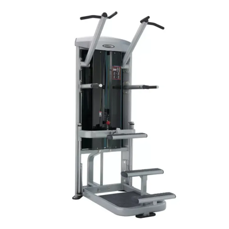 Appareil de musculation professionnel pour réalisation de dips et de tractions à charge guidée