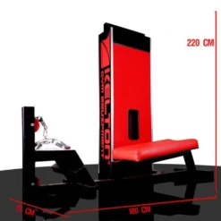 Appareil de musculation rowing pour dorsaux sécuritaire et ergonomique pour club de musculation