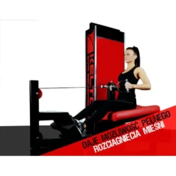 Appareil de musculation rowing pour dorsaux sécuritaire et ergonomique pour club de musculation