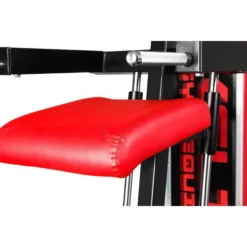 Appareil à dips et tractions assistés de haute qualité pour espace de musculation avec colonne de poids de 112.5 kg
