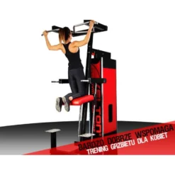 Appareil à dips et tractions assistés de haute qualité pour espace de musculation avec colonne de poids de 112.5 kg