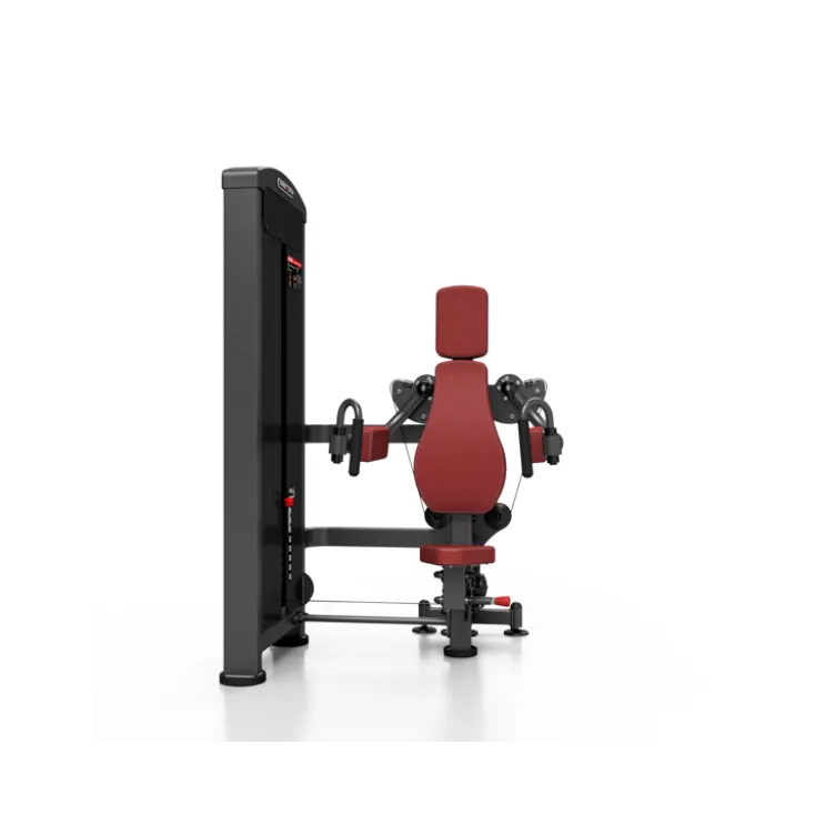 Appareil pro de musculation deltoïdes, dorsaux et trapèzes
