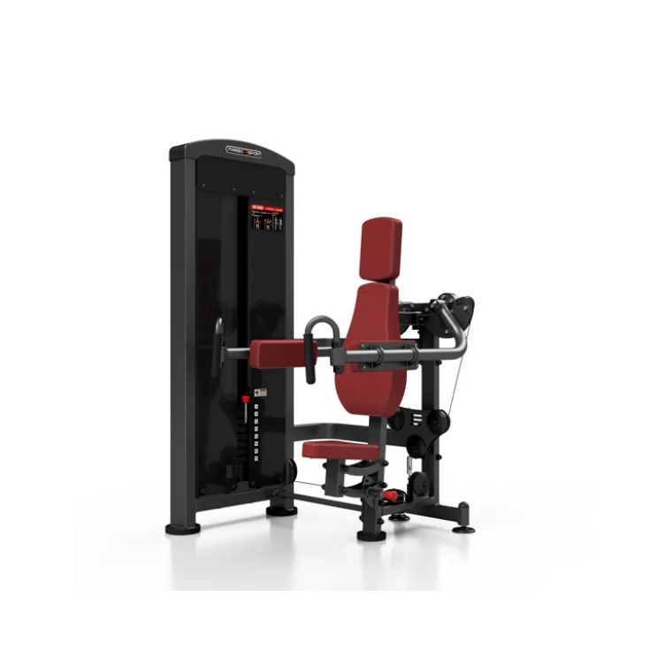 Appareil pro de musculation deltoïdes, dorsaux et trapèzes