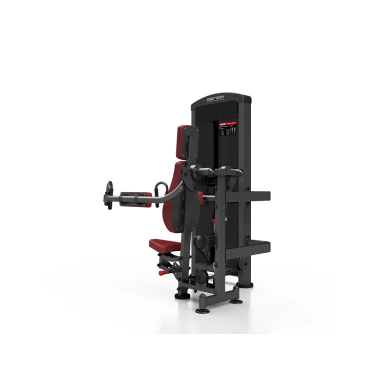 Appareil pro de musculation deltoïdes, dorsaux et trapèzes