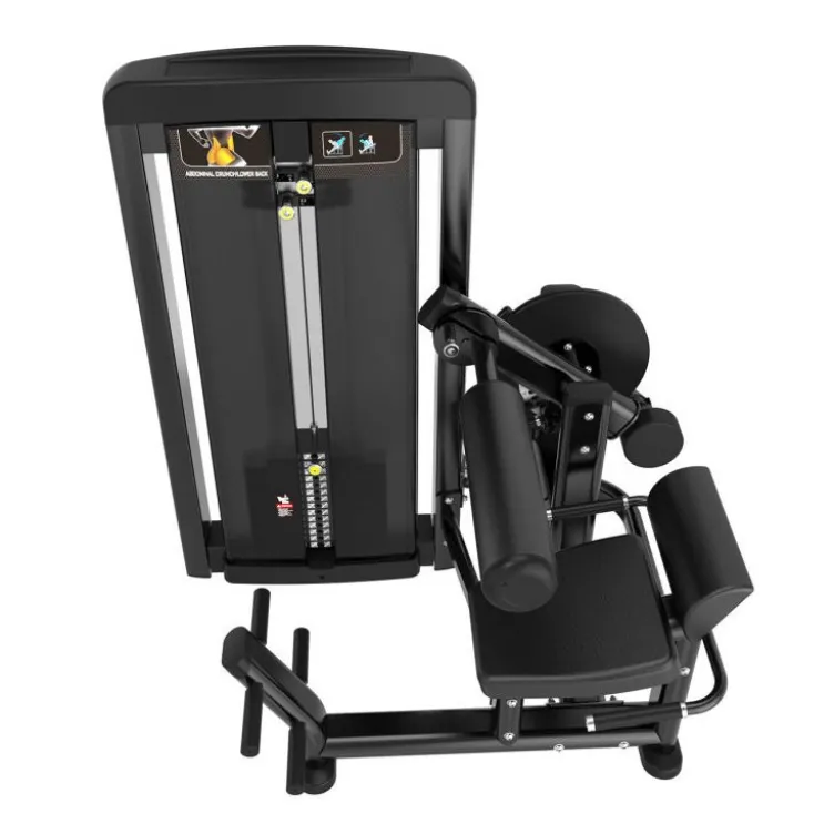 Appareil professionnel Ab crunch combo back extension à charge guidée 100 kg pour salles commerciales - Titanium Genesis GS-S39