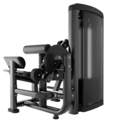 Appareil professionnel Ab crunch combo back extension à charge guidée 100 kg pour salles commerciales - Titanium Genesis GS-S39