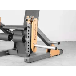 Appareil professionnel en acier de leg curl et leg extension avec capacité de charge extrême - Kingsbox