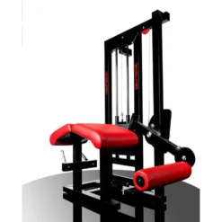 Appareil professionnel musculation des cuisses allongé avec conception innovante pour établissements sportifs