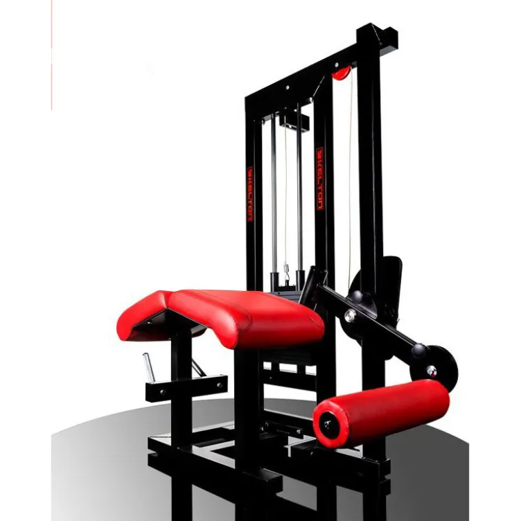 Appareil professionnel musculation des cuisses allongé avec conception innovante pour établissements sportifs