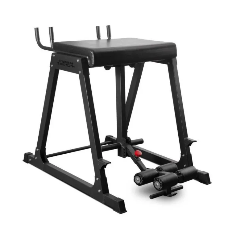 Appareil reverse hyper extension à charge maximale de 226 kg RH226 pour l'entraînement du dos et des jambes - Titanium Strength