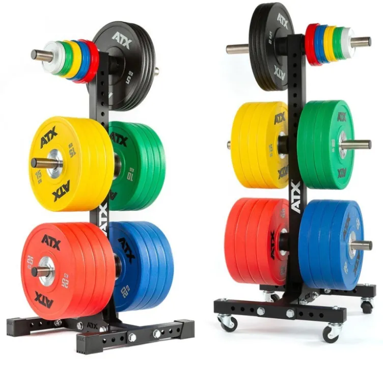 Arbre de rangement pour disques olympiques 6 supports avec option roues de transport
