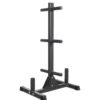 Arbre de rangement Titanium Strength OWT pour disques de poids et barres de musculation olympiques