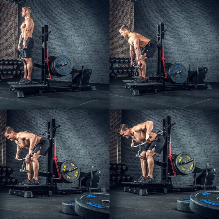 ATX Belt squat professionnel capacité de charge 600 kg - Machine à Squats et Dips