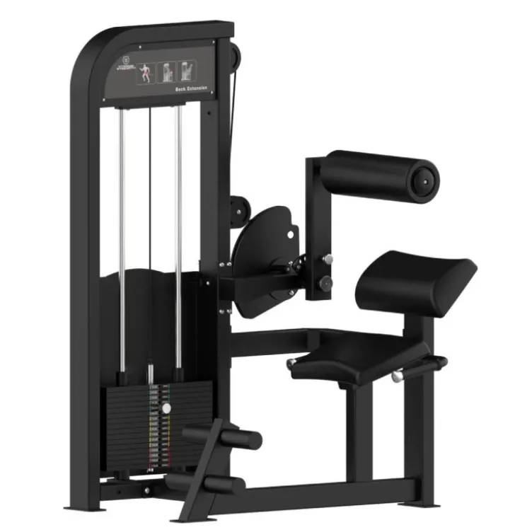 Back Extension à charge guidée Titanium Strength EL-S15 pour renforcement des lombaires - Utilisation commerciale - Élite Séries