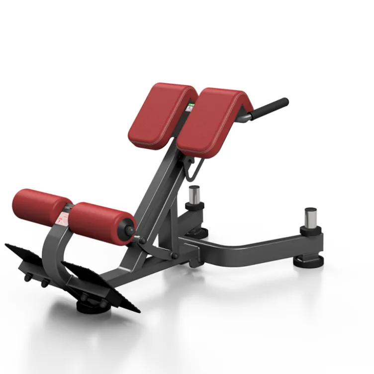 Banc back extension professionnel 350 kg