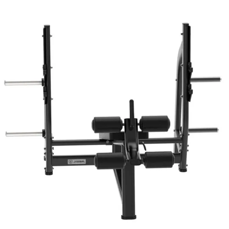 Banc de musculation décliné haut de gamme capacité de charge 200 kg - Black Series Titanium Strength