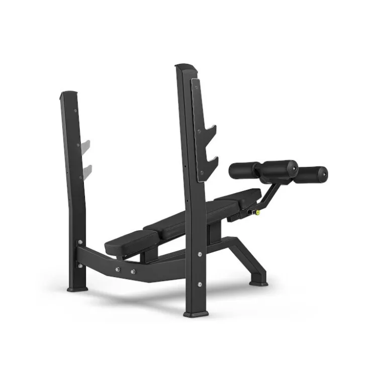 Banc de musculation décliné professionnel charge 400 kg