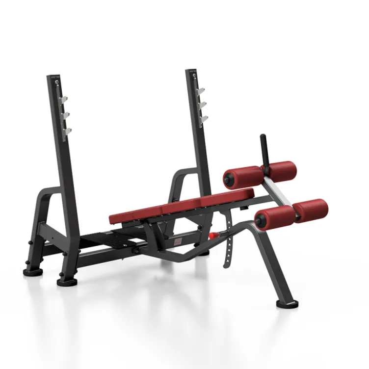 Banc de musculation décliné professionnel charge 400 kg