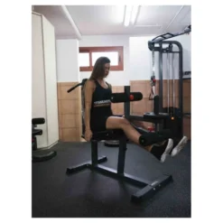 Banc de musculation multifonctions 2 en 1- Combo Leg pour Extensions et Curls des jambes - 150CF Titanium Strength