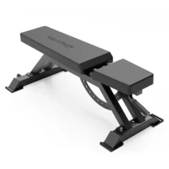 Banc de musculation multi-réglable avec capacité de charge maximale de 350 kg - Entraînement musculaire polyvalent