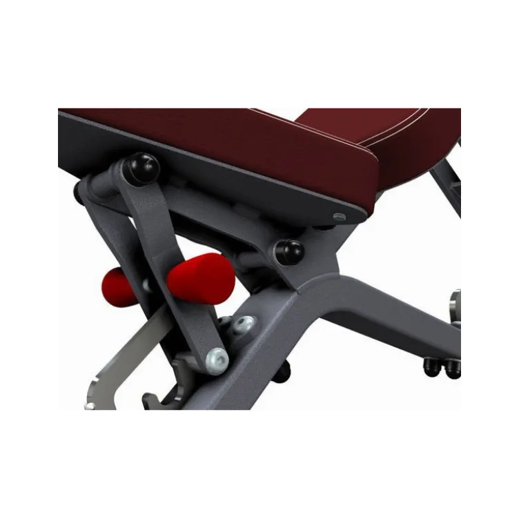 Banc de musculation multi-réglable professionnel 400 kg