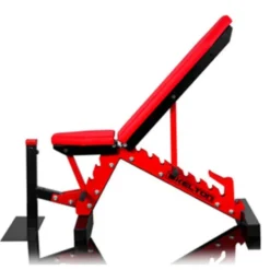Banc de musculation professionnel avec support à option et capacitéde charge 1000 kg