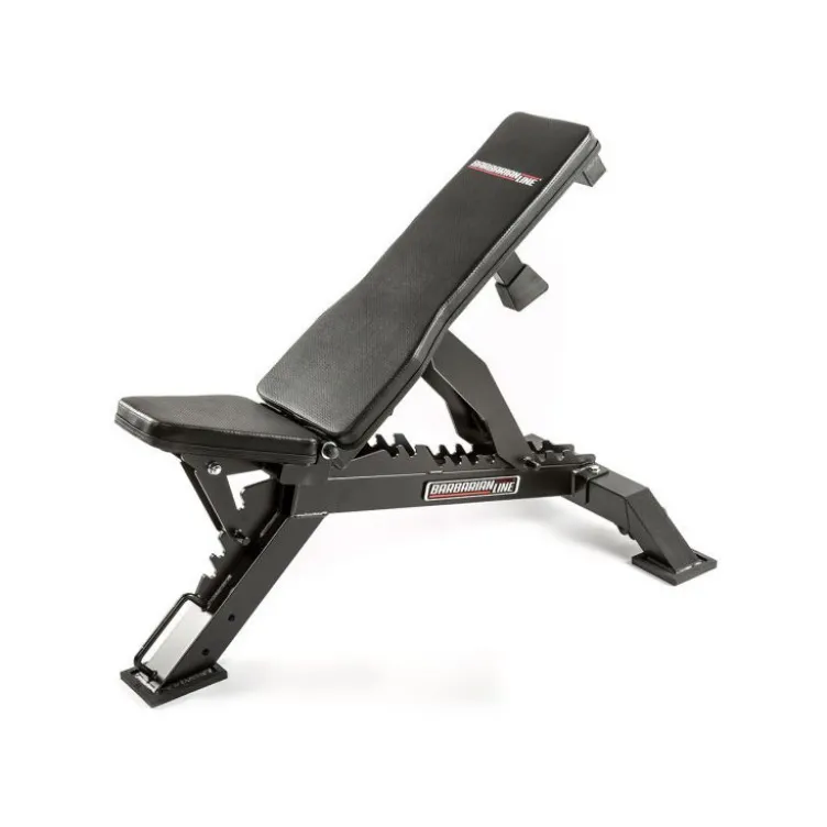 Banc de musculation réglable sur 10 positions - 0° à 82° - Capacité de charge 500 kg