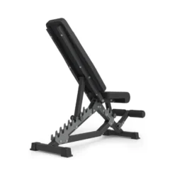 Banc de musculation robuste et multi-réglable avec rouleau de blocage pour abdominaux