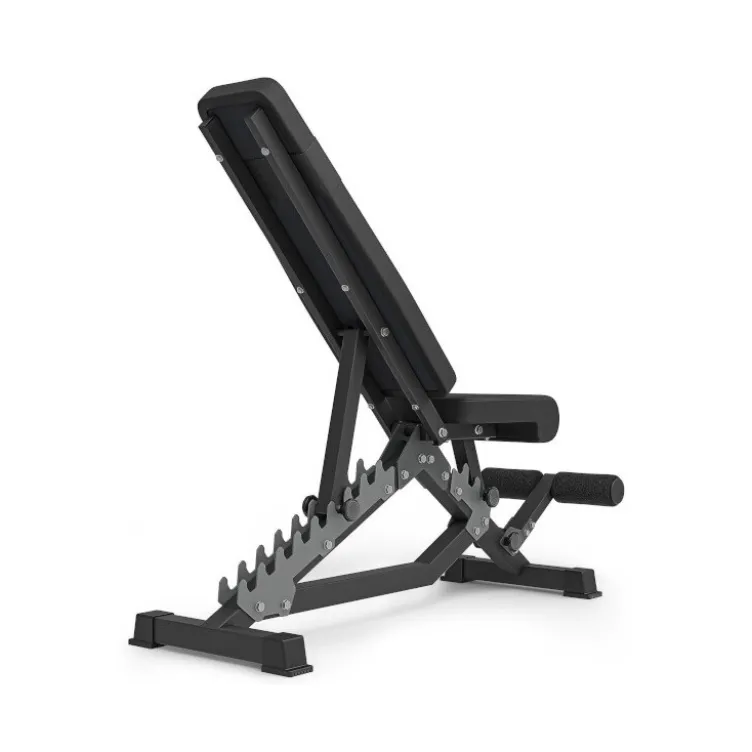 Banc de musculation robuste et multi-réglable avec rouleau de blocage pour abdominaux