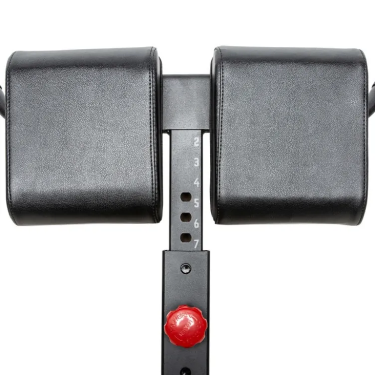 Banc hyperextension ATX 45° pour entraînement du dos capacité de charge +250 kg