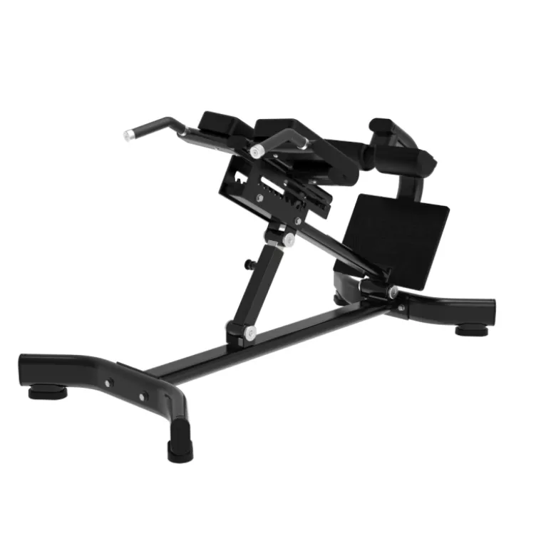Banc à lombaires Hyperextension - Capacité de charge 200 kg - Black Series Titanium Strength