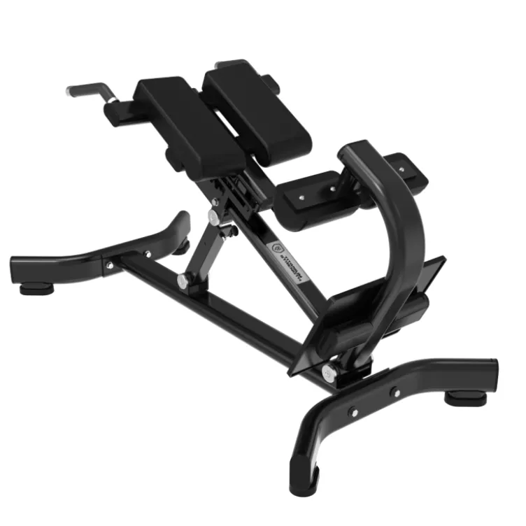 Banc à lombaires Hyperextension - Capacité de charge 200 kg - Black Series Titanium Strength