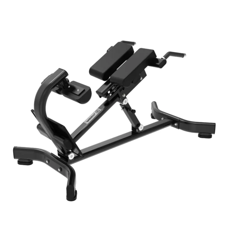 Banc à lombaires Hyperextension - Capacité de charge 200 kg - Black Series Titanium Strength
