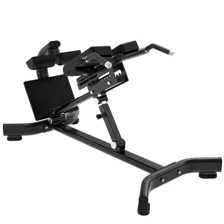 Banc à lombaires Hyperextension - Capacité de charge 200 kg - Black Series Titanium Strength
