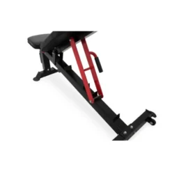 Banc multi fonctionnel avec dossier en cuir rembourré capacite de charge 200kg - Musculation 230BM Titanium Strength