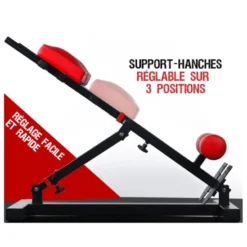 Banc professionnel pour exercices de lombaires et abdominaux