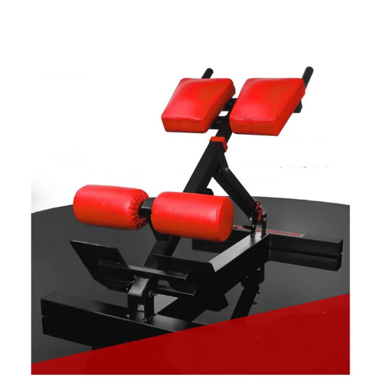 Banc professionnel pour exercices de lombaires et abdominaux