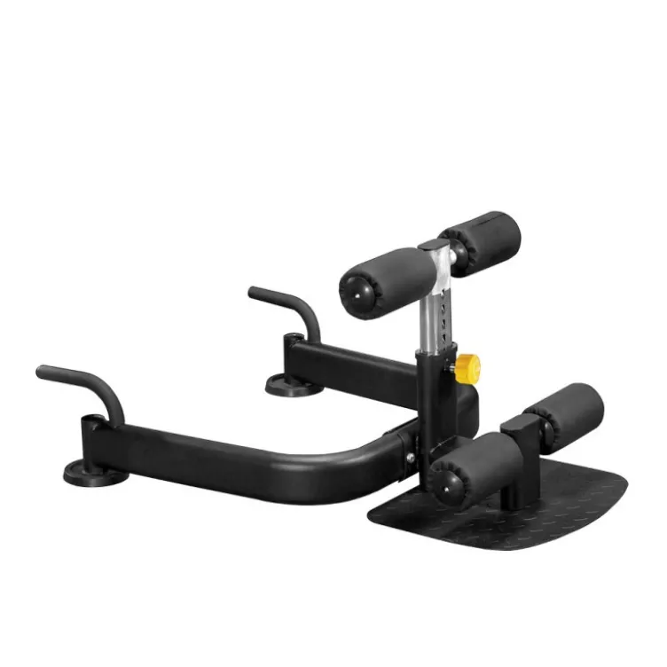 Banc sissy squat professionnel charge maximale 150 kg