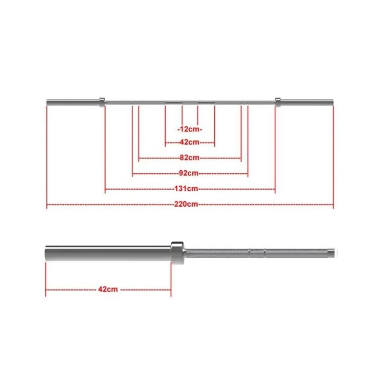 Barre de musculation olympique 220 cm x 50 mm haute résistance capacité 700 kg