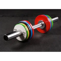 Barre d'haltère courte olympique 65 cm en acier pour disques 50 mm
